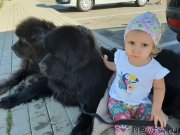 Превью фото № 247597