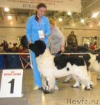 Превью фото № 2476