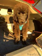 Превью фото № 247612