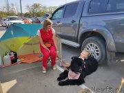 Превью фото № 247629