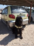 Превью фото № 247641