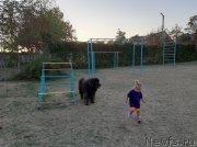 Превью фото № 247656