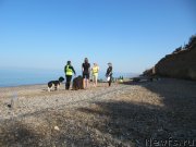 Превью фото № 247665