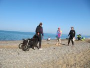 Превью фото № 247676