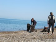 Превью фото № 247678