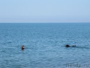 Превью фото № 247683