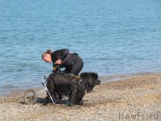 Превью фото № 247705