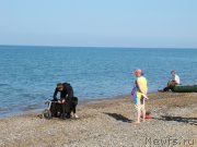 Превью фото № 247706