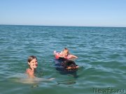 Превью фото № 247794