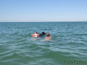 Превью фото № 247795