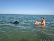 Превью фото № 247798