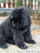 Превью фото № 247845