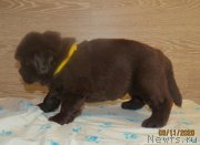 Превью фото № 247863