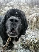 Превью фото № 247881