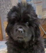 Превью фото № 247887