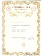 Превью фото № 247911