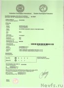 Превью фото № 247913