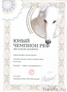 Превью фото № 247915