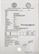 Превью фото № 247951