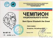 Превью фото № 247955