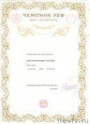 Превью фото № 247957