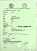 Превью фото № 247961