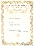 Превью фото № 247963