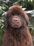 Превью фото № 247973