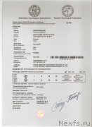 Превью фото № 247984