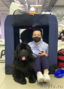 Превью фото № 248004