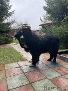 Превью фото № 248010