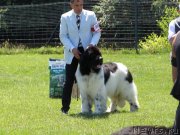 Превью фото № 248016