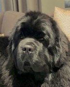 Превью фото № 248051