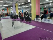 Превью фото № 248074