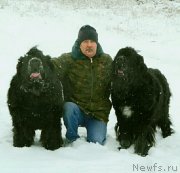 Превью фото № 248091