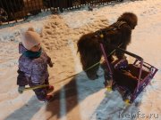 Превью фото № 248126