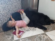 Превью фото № 248130