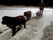 Превью фото № 248133