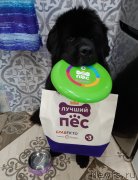 Превью фото № 248143