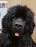 Превью фото № 248171