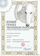 Превью фото № 248206