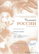 Превью фото № 248207