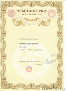 Превью фото № 248208