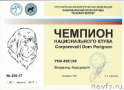 Превью фото № 248210