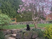 Превью фото № 248329