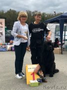 Превью фото № 248333