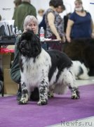 Превью фото № 248352