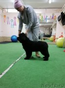 Превью фото № 248447