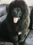 Превью фото № 248455