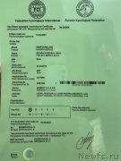 Превью фото № 248487